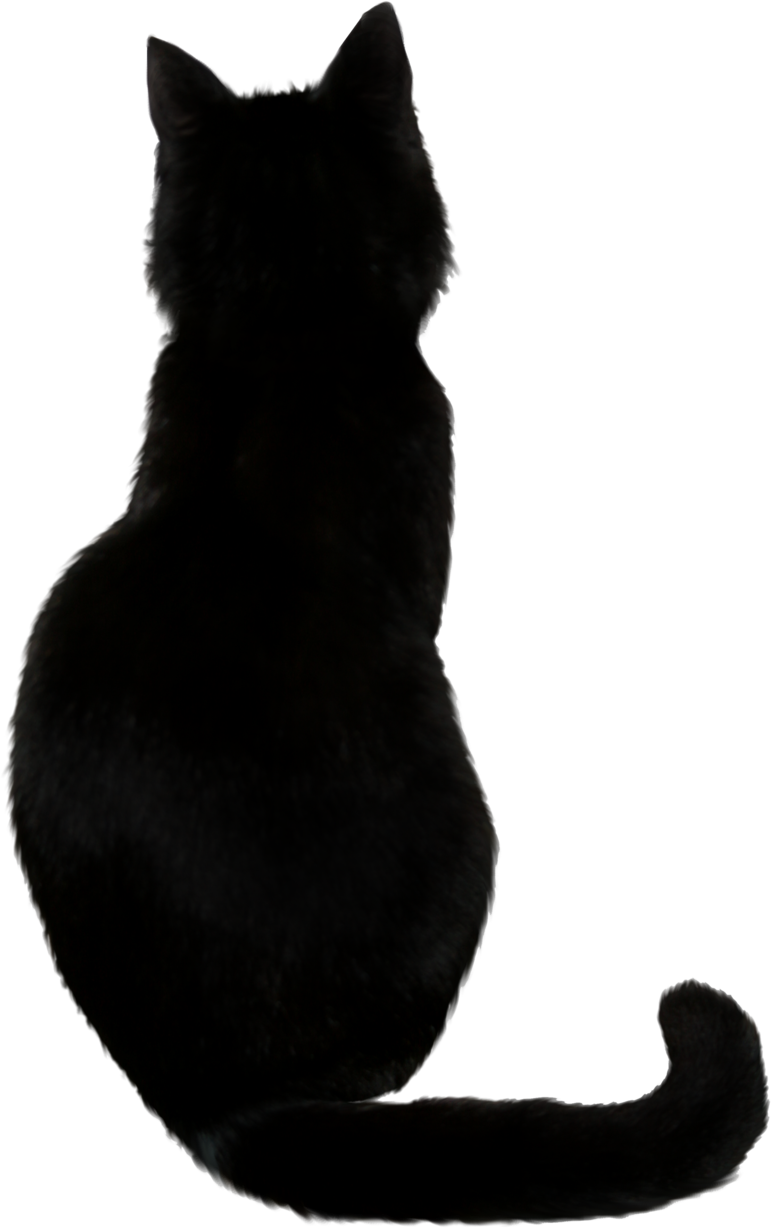 Out Of Cats Season Episode Out Of Cats Season Episode