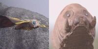 Cast mothra