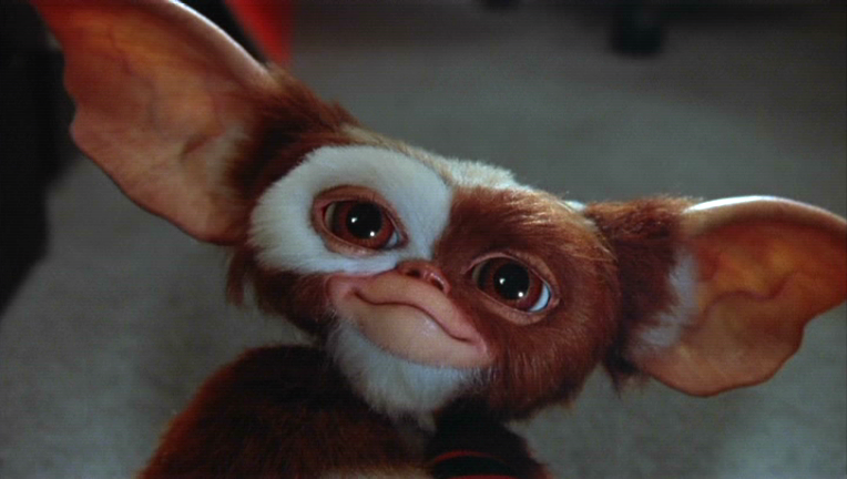 Risultati immagini per Gremlins