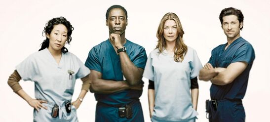 Grey S Anatomy S03e05 Watch Online