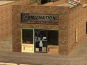 180px-Ammu-Nation-GTASA-ElQuebrados-exterior.jpg