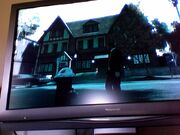 Bild 263423.jpg