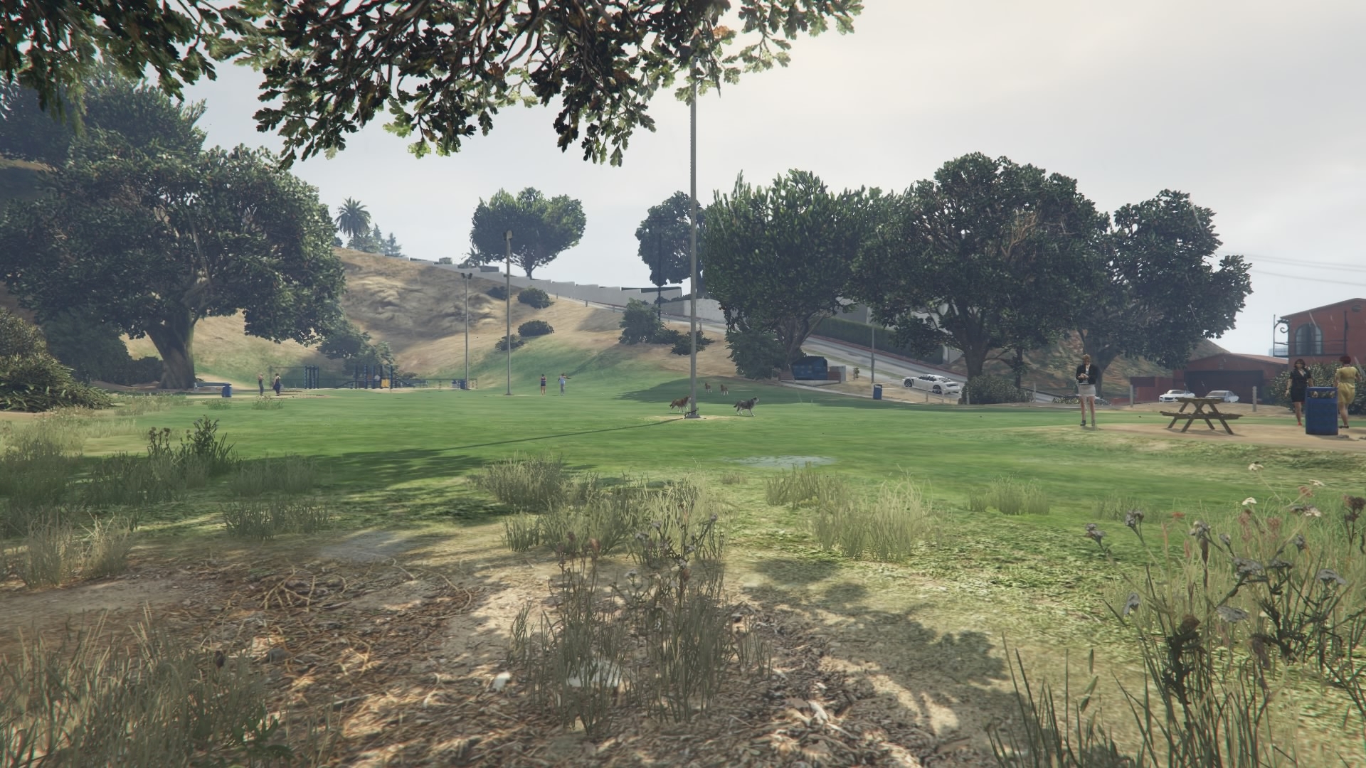 Vinewood Hills Dog Exercise Park GTA Wiki Fandom powered by Wikia