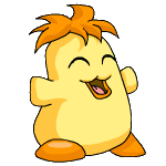 Chia yellow baby
