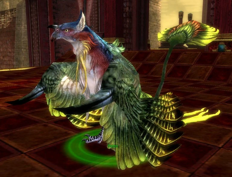 Phoenix (pet) GuildWars Wikia Fandom powered by Wikia