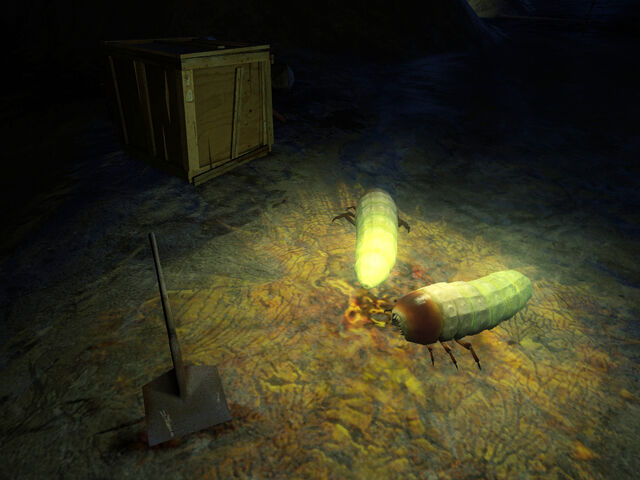 File:Shovel grubs.jpg