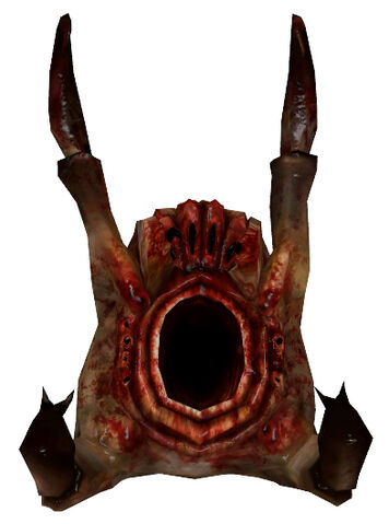 File:Headcrab underbelly.jpg