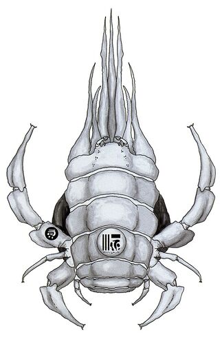 File:Sacktick.jpg
