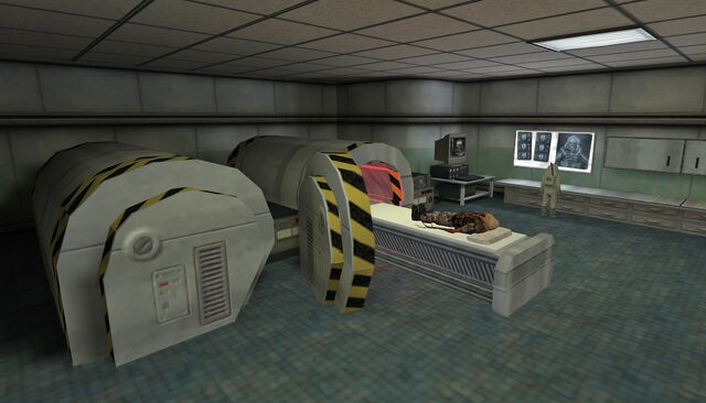 File:Cat scans.jpg