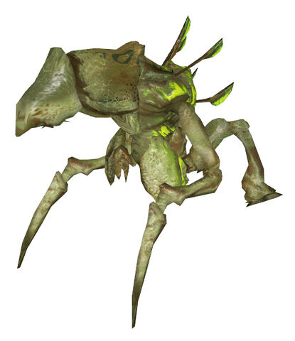 File:Antlion guardian.jpg