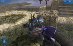 Halo2-252.jpg