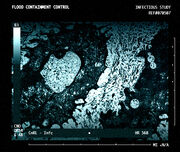 Flood Super Cell