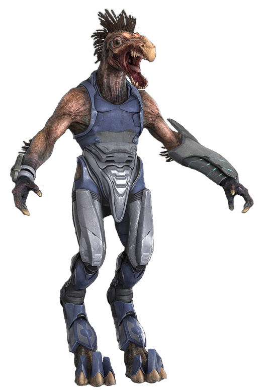 Ruutian | Halo Nation | Fandom powered by Wikia