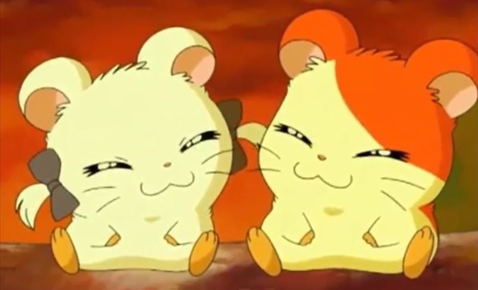 bijou hamtaro bijou hamtaro