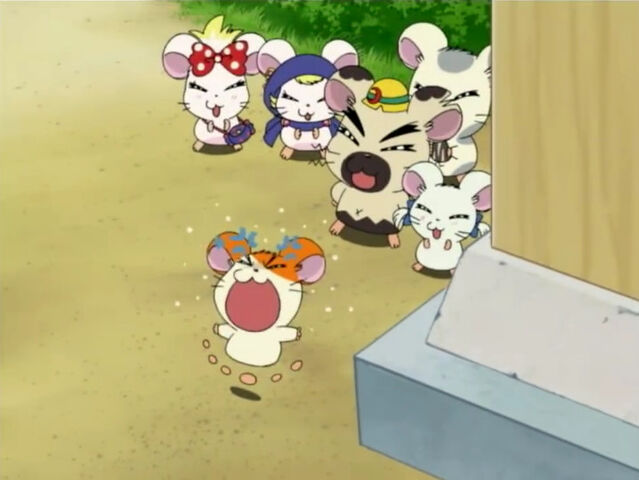 Hamtaro Love Letter Hamtaro Love Letter