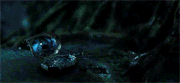 Locket destruction.gif