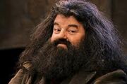 Hagrid4.jpg