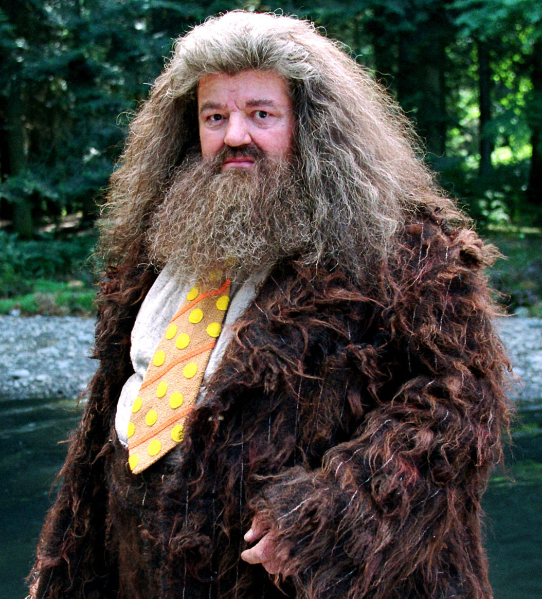 Yuhan Liu Ib Film Studies Harry Potter Character Analysis