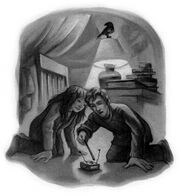 Potterwarta.jpg