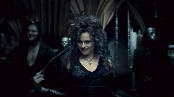 Death Eaters enter Hogwarts Castle