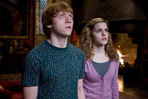 Ron-herme-6de.jpg