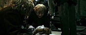 Dead Fred.jpg