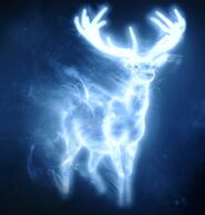 Stagpatronus1