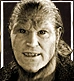Bullet-greyback.png