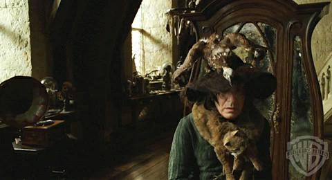 leaky cauldron essays on severus snape leaky cauldron essays on severus snape