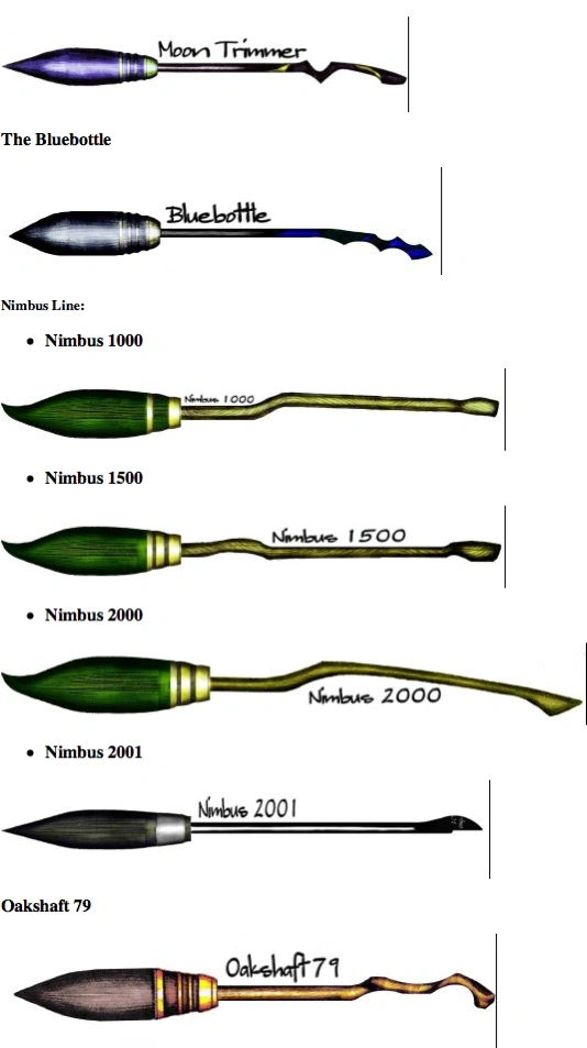 Quality Quidditch Supplies Harry Potter (Next Gen) Roleplay Wiki