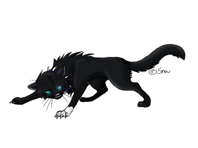 Datei:Wikia-Visualization-Add-5,degeisselfan.png