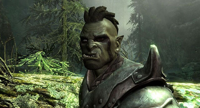 Datei:Sliderspot-skyrim-0112.jpg
