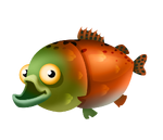 Sockeye Salmon