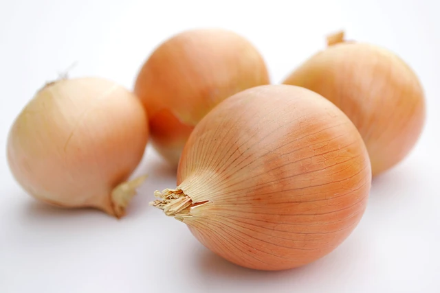 File:Onion.jpg
