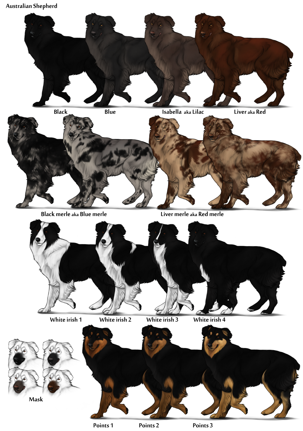 puppy color calculator image australian shepherd color chart png herding farms wikia fandom puppy color calculator image australian shepherd color chart png herding farms wikia fandom
