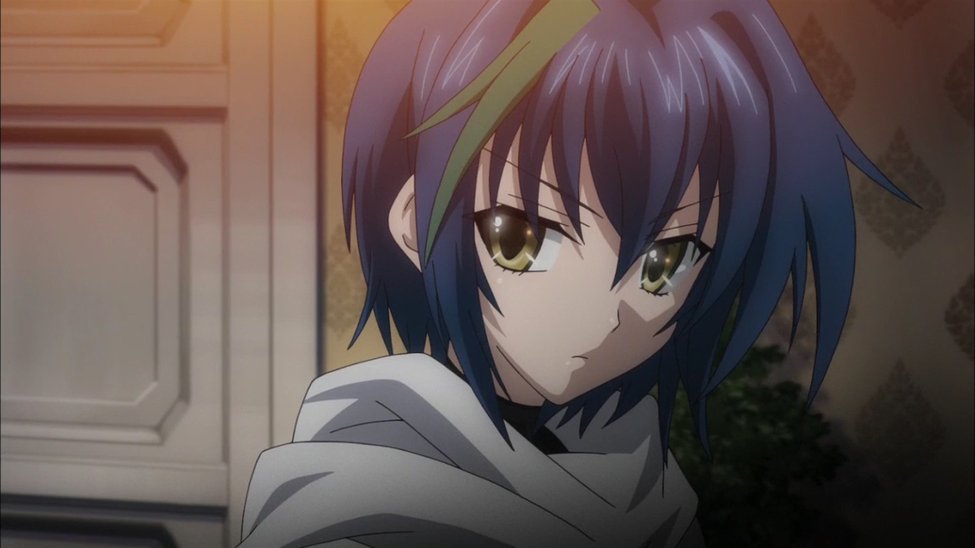 Archivo:Xenovia.jpeg | Wiki High School DxD | Fandom powered by Wikia