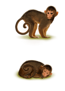 Affe Kameraden