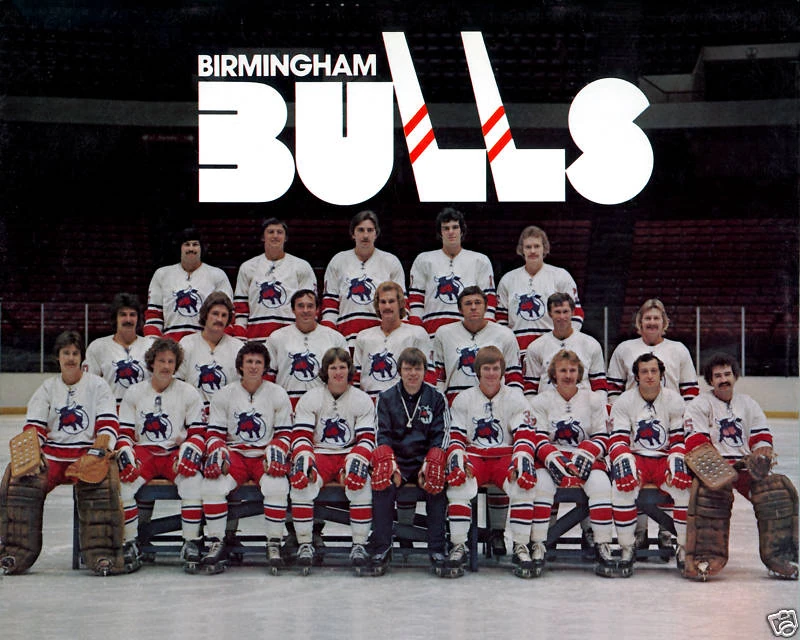 197677 Birmingham Bulls season Ice Hockey Wiki Fandom powered by Wikia