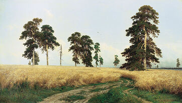 Fields of Barley, Russia