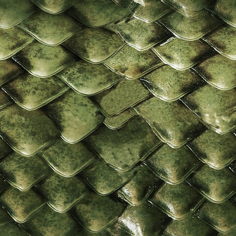 File:Green dragon scales.jpg