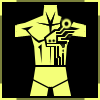 Augments_Torso.png