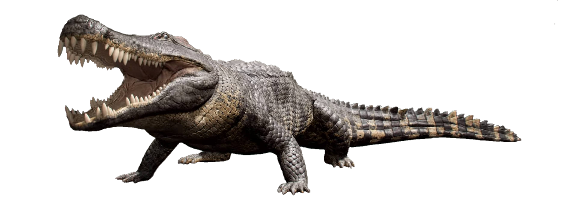the isle dino list