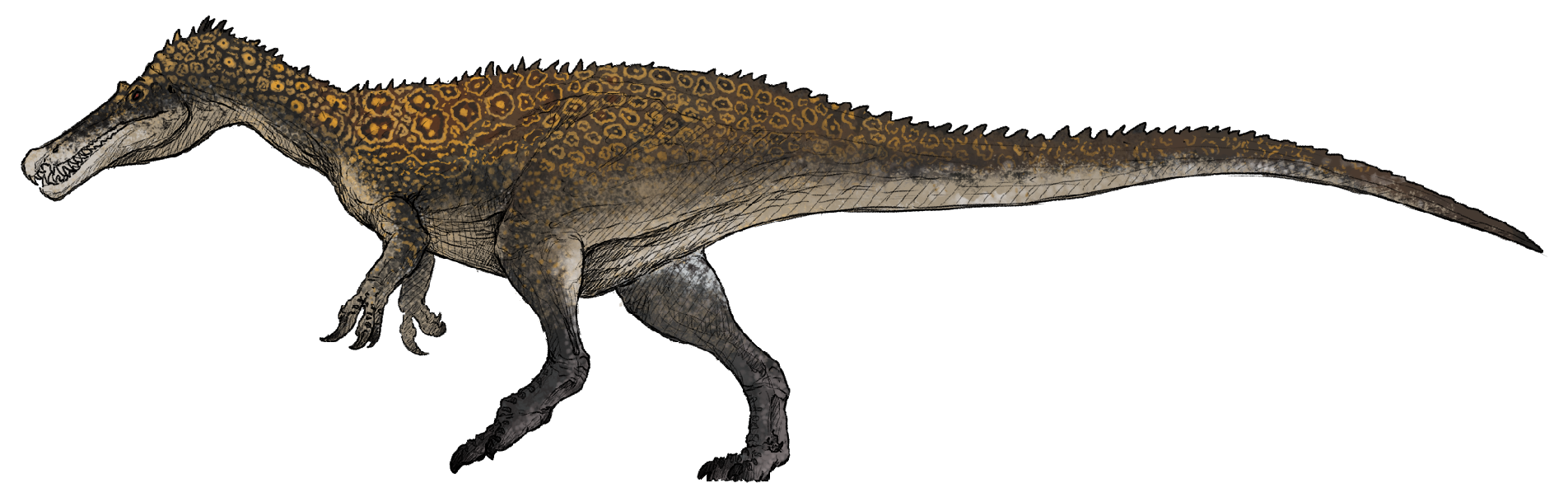 baryonyx suchomimus