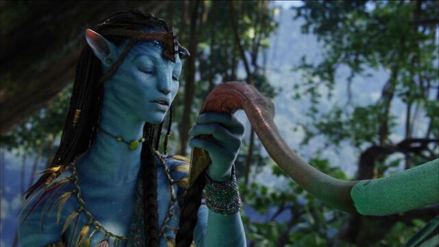 File:Neytiri tsahalu.jpg