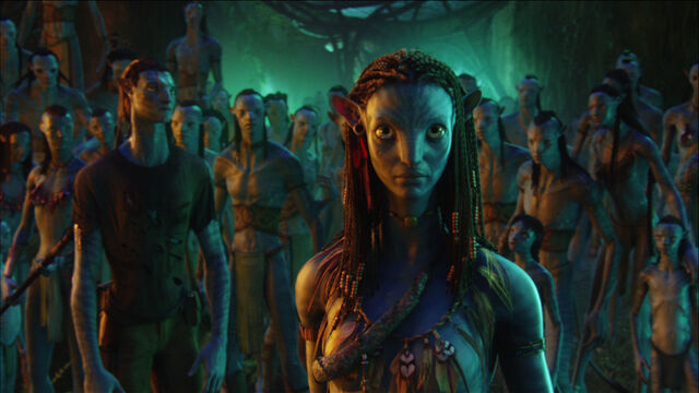 File:PDVD 046.jpg
