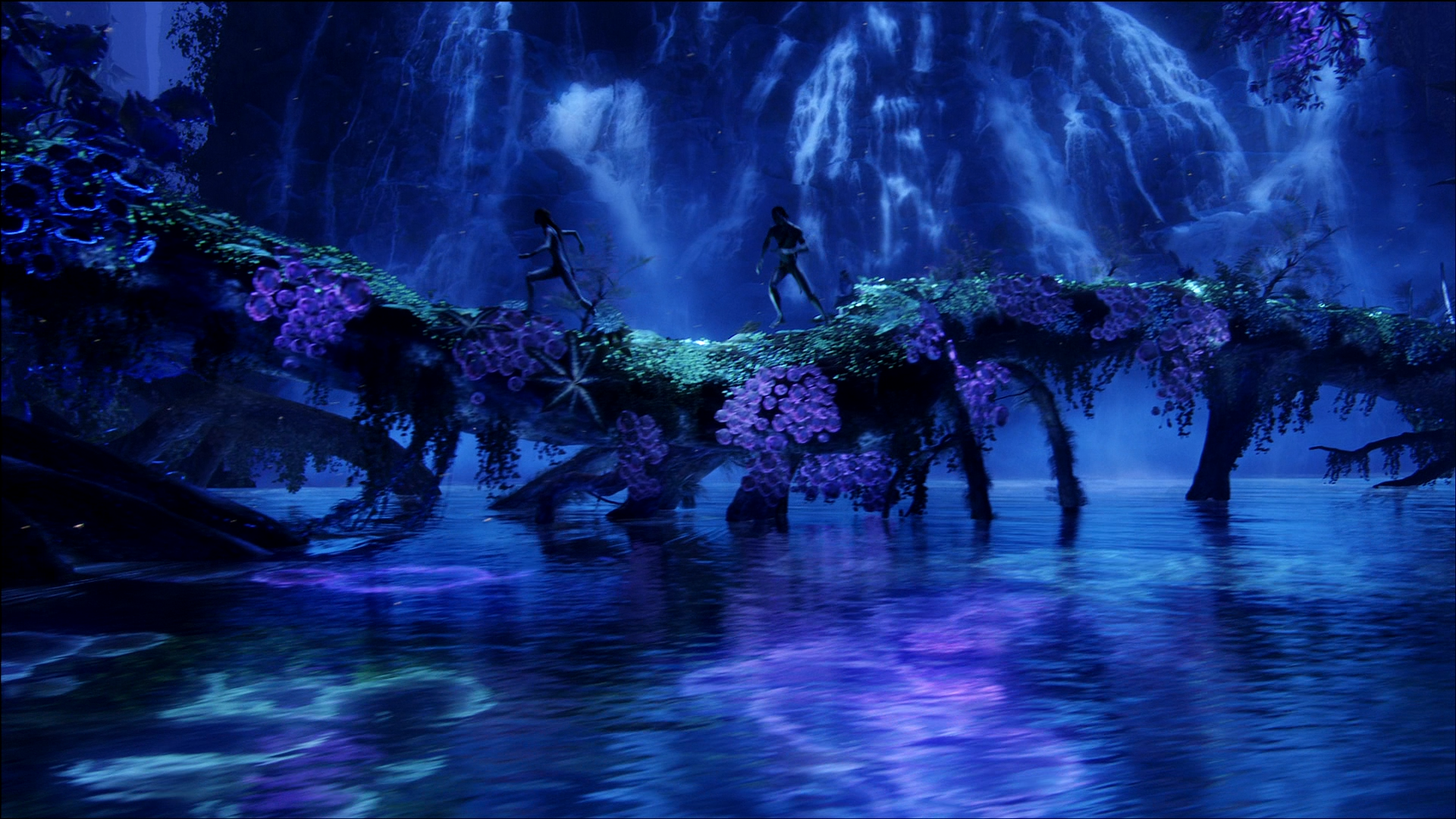 Bioluminescence | Avatar Wiki | FANDOM powered by Wikia