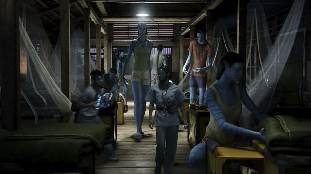 File:Avatar sleeping compound 2.jpg
