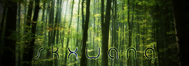 File:Skxwang Banner.png