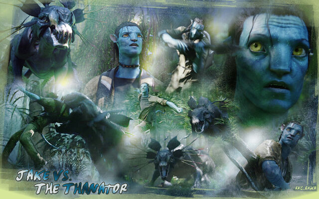 File:Avatar-avatar-10125894-1680-1050.jpg