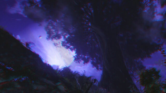 File:Hometree at night (red-cyan).jpg